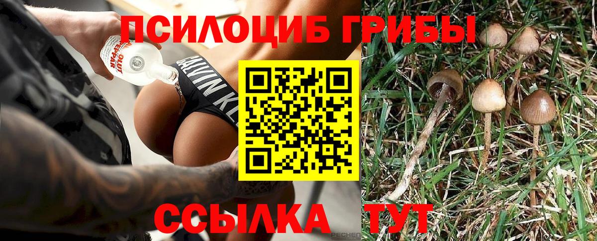 Галлюциногенные грибы прущие грибы Усинск