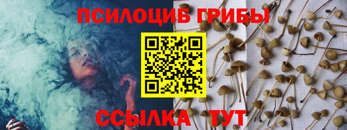 Усинск  Псилоцибиновые грибы Cubensis  Вход с VPN 